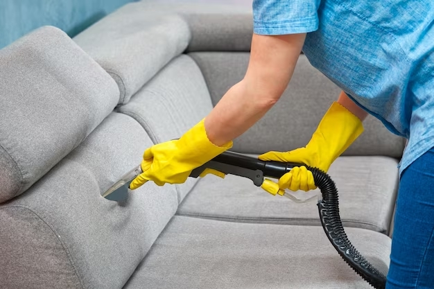 Upholstery care service